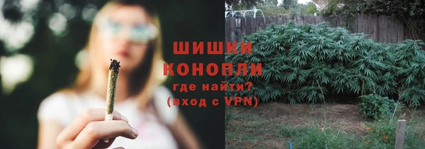 шишки Арсеньев