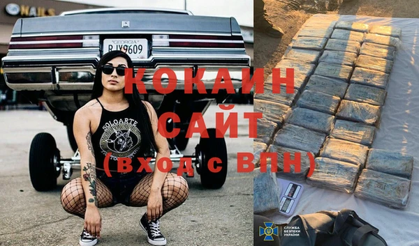 шишки Арсеньев