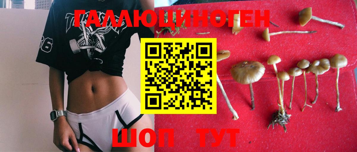 Галлюциногенные грибы Magic Shrooms  магазин  наркотиков  Вход с VPN  Каменск-Уральский  Галлюциногенные грибы Magic Shrooms 